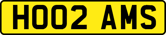 HO02AMS