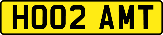 HO02AMT