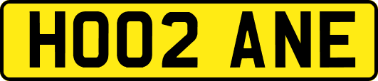 HO02ANE
