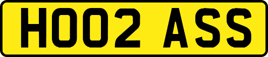 HO02ASS