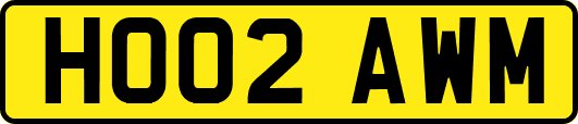 HO02AWM