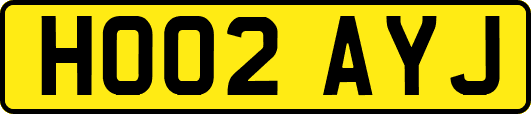 HO02AYJ