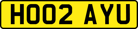 HO02AYU