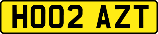 HO02AZT