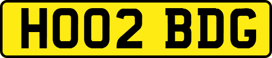 HO02BDG