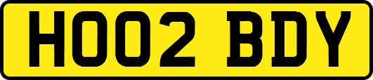 HO02BDY