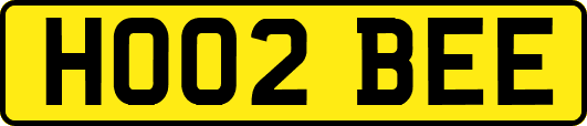 HO02BEE