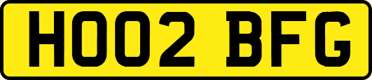 HO02BFG