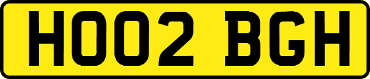 HO02BGH