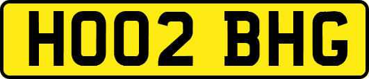 HO02BHG
