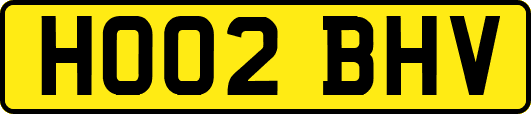 HO02BHV