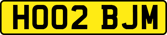 HO02BJM