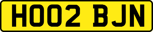 HO02BJN