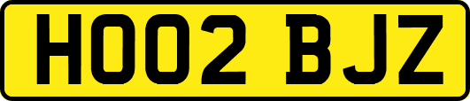 HO02BJZ