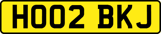HO02BKJ