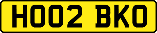 HO02BKO