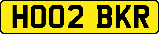 HO02BKR