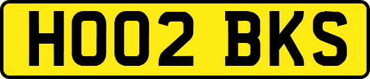HO02BKS