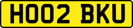 HO02BKU