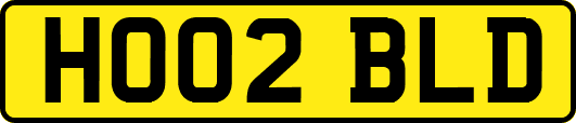 HO02BLD