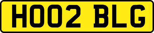 HO02BLG
