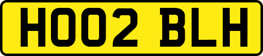 HO02BLH