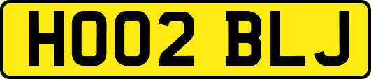 HO02BLJ