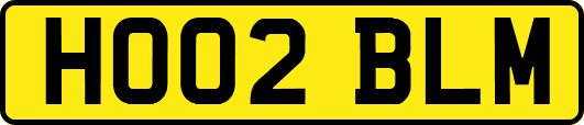 HO02BLM