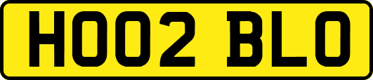 HO02BLO