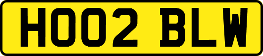 HO02BLW