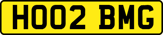 HO02BMG