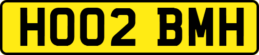 HO02BMH