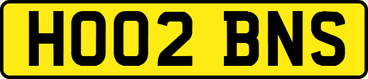 HO02BNS