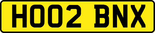 HO02BNX