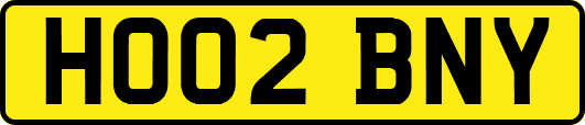 HO02BNY