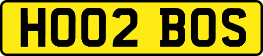 HO02BOS