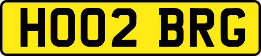 HO02BRG