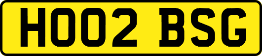 HO02BSG