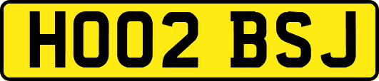 HO02BSJ