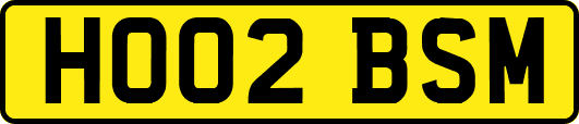 HO02BSM