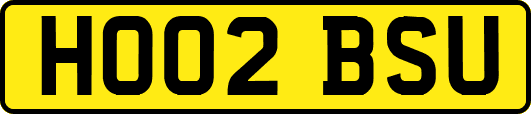 HO02BSU