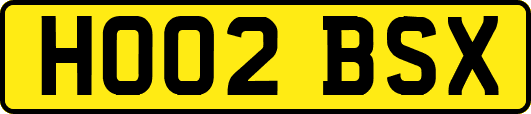 HO02BSX