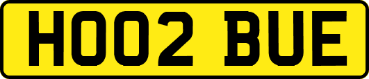 HO02BUE