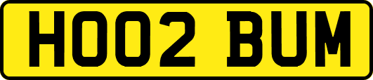 HO02BUM