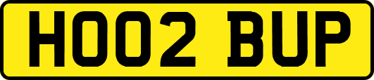 HO02BUP