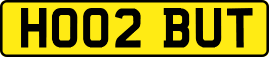 HO02BUT