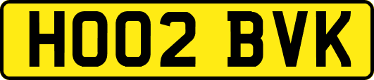 HO02BVK
