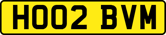 HO02BVM