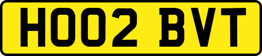 HO02BVT