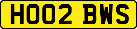 HO02BWS